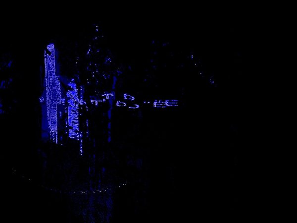 WhatsApp Image 2026-03-09 at 18.54.18 (2)