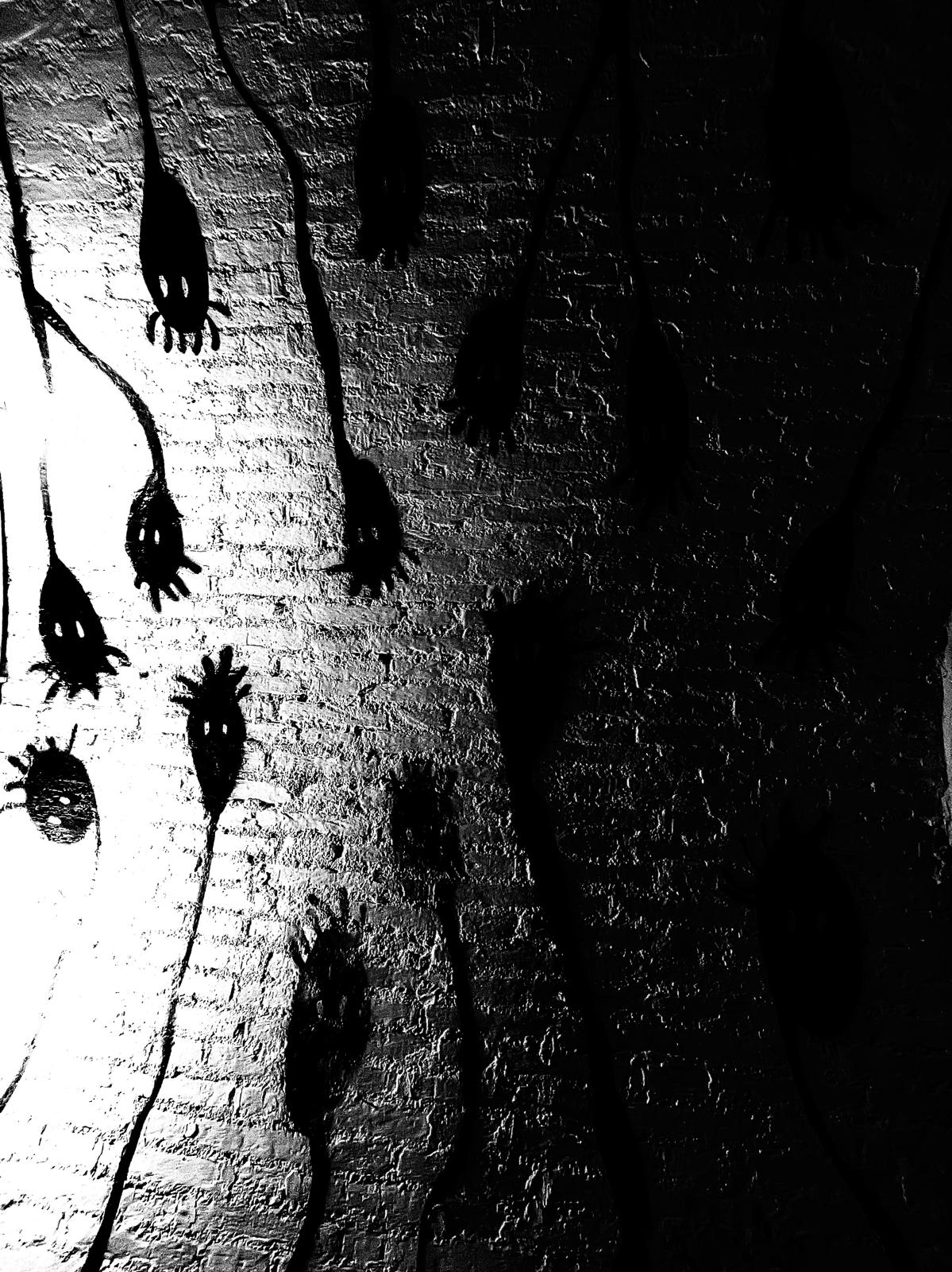 WhatsApp Image 2026-03-09 at 18.54.19