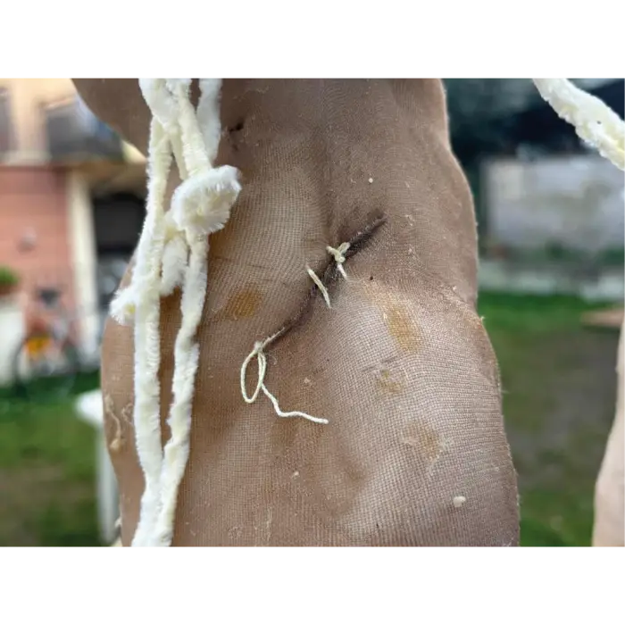 Senza titolo-1-10